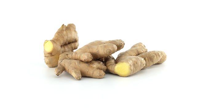Fresh Ginger Roots Isolated on a Clean White Background photo