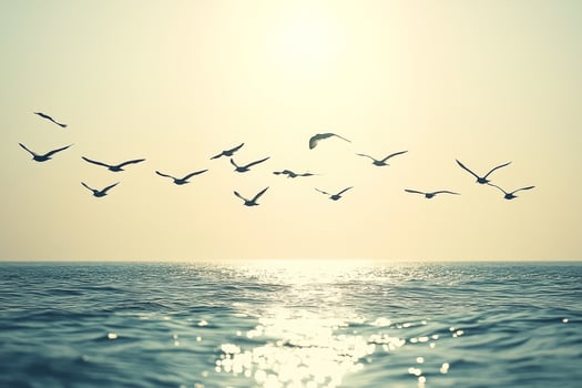 A flock of birds flying over the ocean photo