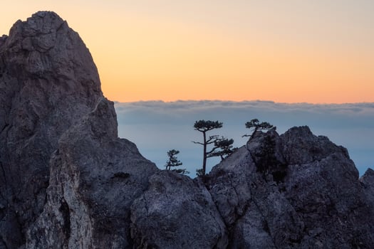 Wonderful sunset in the mountain valley with bizarre pines photo