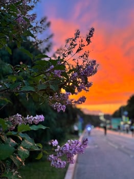 Blurred background of the sunset embankment with people walking photo