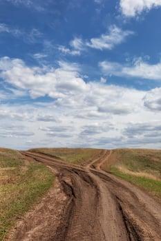 Fork in the dirt road. photo