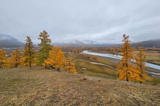 Wonderful morning landscape with mountain river in valley with forest in autumn colors on background of snowy mountains silhouettes under foggy and cloudy sky. Beautiful mountain valley in autumn. photo