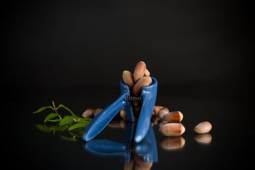 Natural products,hazelnuts with nutcracker isolated on black background photo