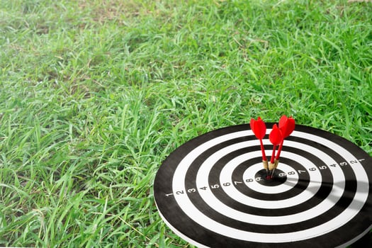 Three arrow on target with grass background photo
