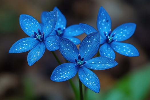 Three Blue Flowers With White Spots Bloom Beautifully photo