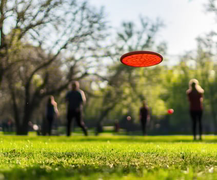 Frisbee flying through the air in a sunny park during an afternoon gathering of friends photo