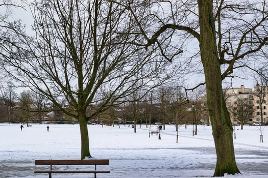 Snow-Covered Park with Bare Trees and Wooden Bench in Harrogate, UK. photo