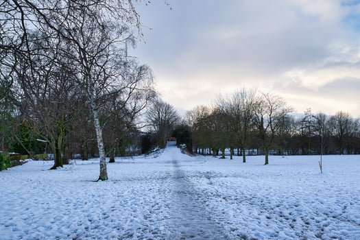 Snow-Covered Path in a Winter Park in Harrogate, UK. photo