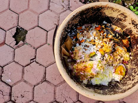 A brown bowl filled with food on a brick patio photo