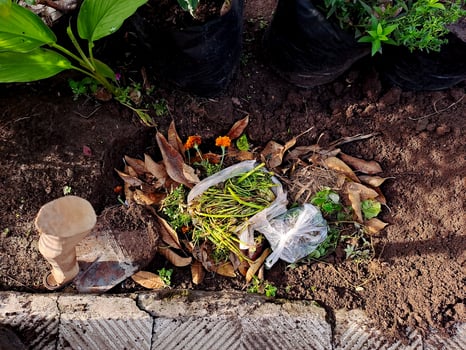 A pile of dirt and plants on the ground photo