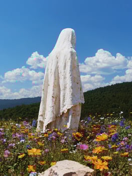 White statue in a field of flowers photo