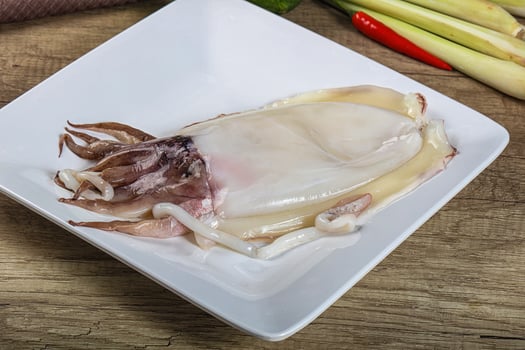 A white plate with a squid on it photo