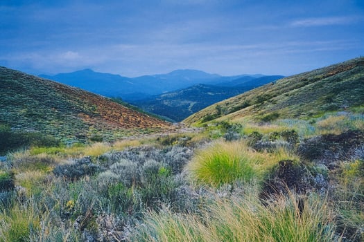 A view of the mountains and grassy hills photo