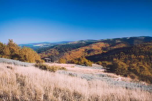 Autumn mountain vista, panoramic view, clear sky, golden foliage, travel postcard photo