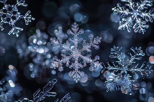 Stunning Macro Photography of Ice Crystals, Winter Snowflakes photo