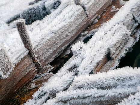 White winter frost on old logs. Severe frost concept. photo