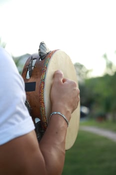 Percussive Sounds Dancing in Rural Meadows photo