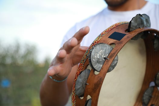 Percussive Sounds Dancing in Rural Meadows photo