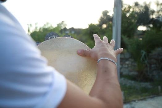 Percussive Sounds Dancing in Rural Meadows photo