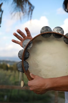 Percussive Sounds Dancing in Rural Meadows photo