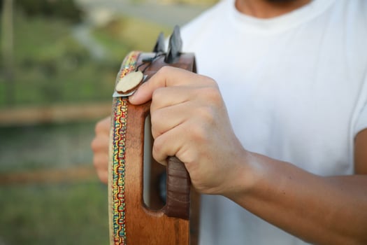 Percussive Sounds Dancing in Rural Meadows photo