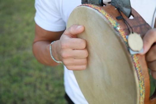 Percussive Sounds Dancing in Rural Meadows photo