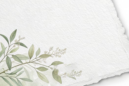 Elegant White Paper Texture photo