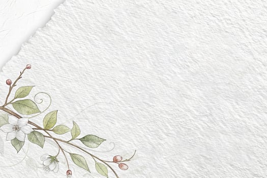 Subtle White Paper Background photo