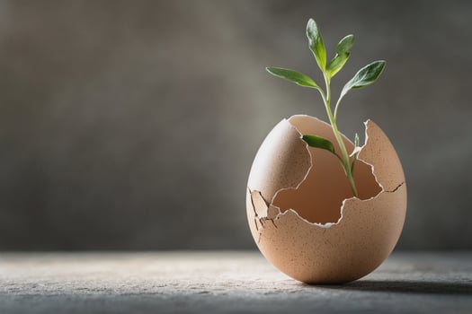 A fresh seedling pushes through a broken eggshell, representing perseverance, fresh beginnings, and eco-conscious living. The soft earthy tones create a warm and inspiring visual message. photo