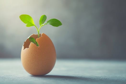 A cracked egg with a growing plant symbolizes the cycle of life, rebirth, and nature wonders. The warm sunlight highlights the contrast between fragility and strength in this unique composition photo