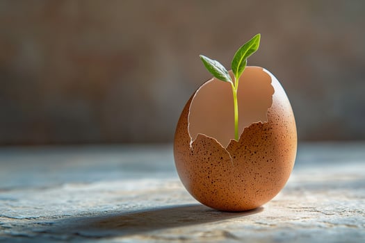 A green sprout emerges from a fragile eggshell, embodying transformation, resilience, and sustainability. The soft focus background enhances the organic beauty of this symbolic and artistic image. photo