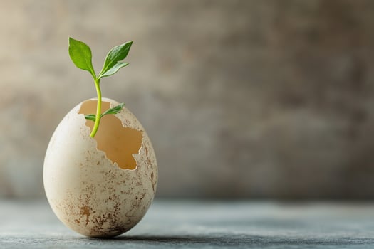 A tender plant emerges from an eggshell, capturing the essence of growth, transformation, and eco-conscious living. This artistic image embodies nature, renewal, and hope with a serene backdrop. photo