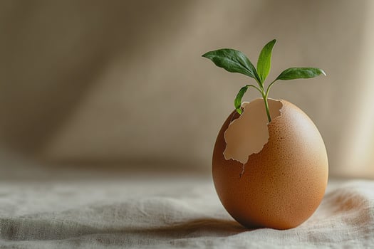 A cracked eggshell cradles a vibrant green sprout, bathed in soft morning light. A perfect representation of rebirth, nature resilience, and the beauty of fresh starts in a minimalist composition photo