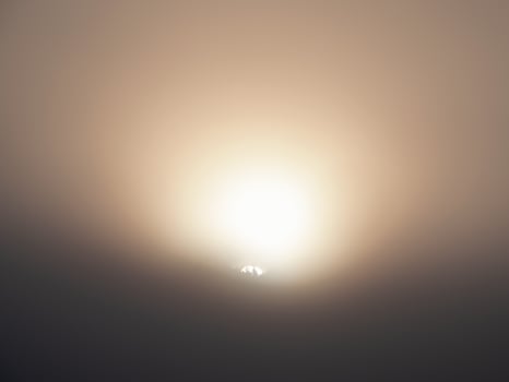 disk of the sun rises behind the crowns of the trees in a thick fog photo