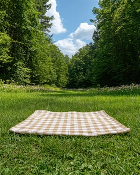 Empty picnic blanket on grass in forest photo