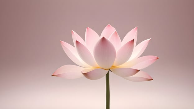 An elegant minimalist illustration of a lone lotus flower in soft pink or white, with gentle lighting and background space for text. photo