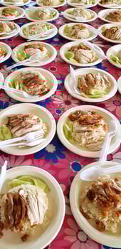 Many Hainanese chicken rice, steamed or fried chicken with rice, sliced cucumber, plastic spoon and fork on white plate for sale and serving customer. Thai people call Khao Man Kai. Asian food style photo