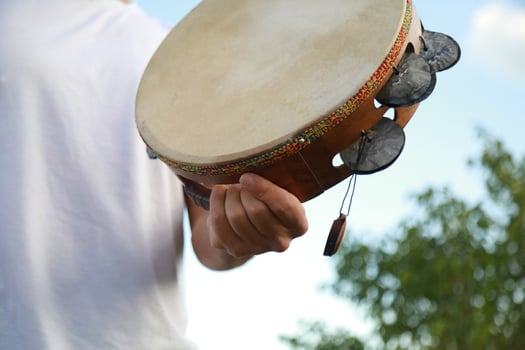 Percussive Sounds Dancing in Rural Meadows photo