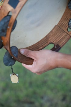 Percussive Sounds Dancing in Rural Meadows photo