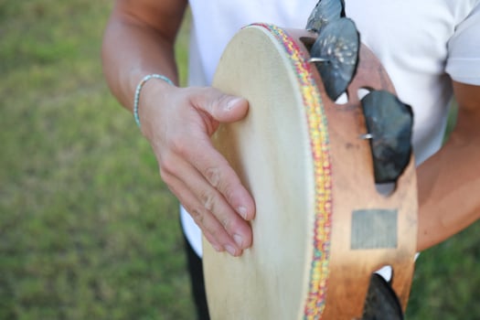 Percussive Sounds Dancing in Rural Meadows photo