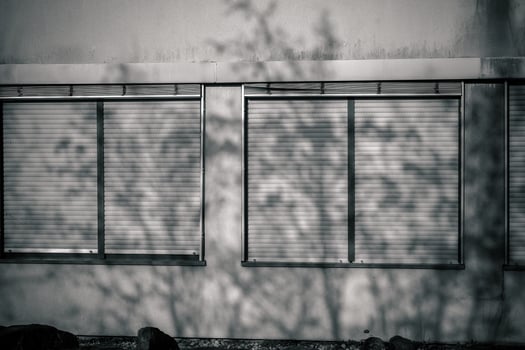 Shadows of trees cast against a building wall during twilight hours in a serene urban neighborhood photo
