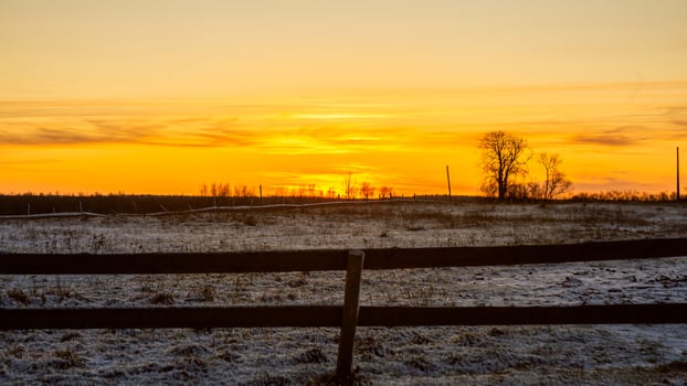 Rural Landscape at Sunset with Frost Covered Field and Wooden Fence photo