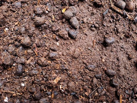 Soil texture background photo