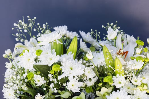Bouquet of white flowers with green leaves on a dark background photo