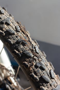 Ca damaged mountain bike tire. photo
