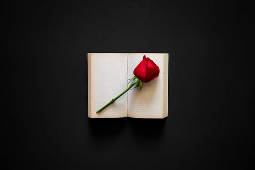 Red rose puts on an old book with empty pages on black cloth background. Valentine's day minimal concept. photo