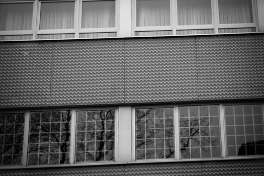 Textured architectural facade with windows reflecting trees on an overcast day in an urban setting photo