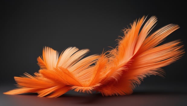 Black background with abstract orange color photo