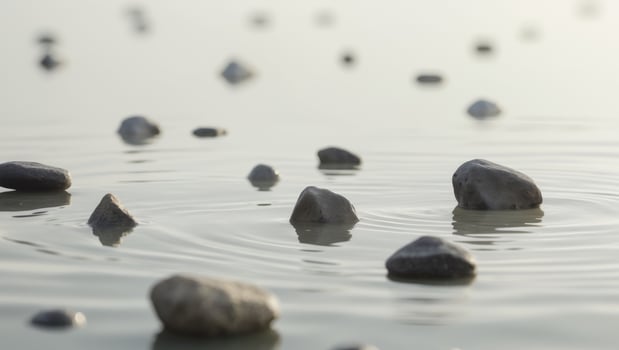 A series of small rocks are floating in a body of water. photo