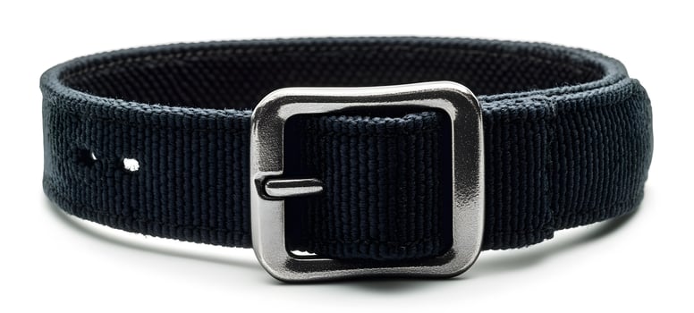 Black Fabric Strap With Silver Metal Buckle photo